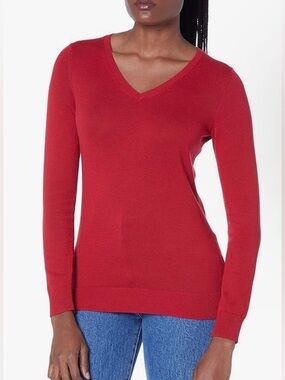 Amazon Essentials Women's Regular-Fit Lightweight Long-Sleeve V-Neck Sweater 3XL